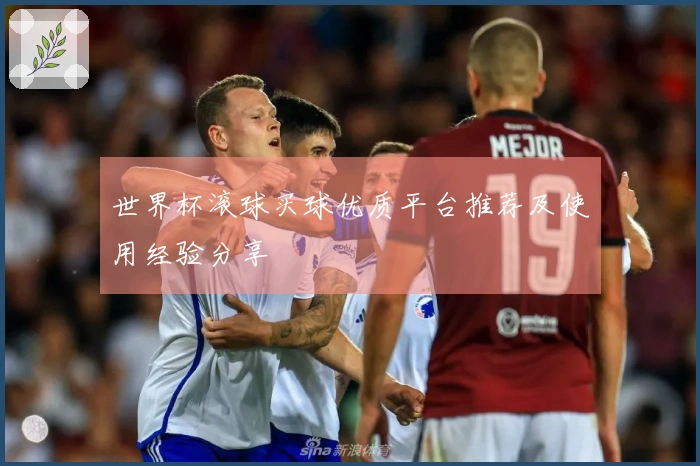 世界杯滚球买球优质平台推荐及使用经验分享