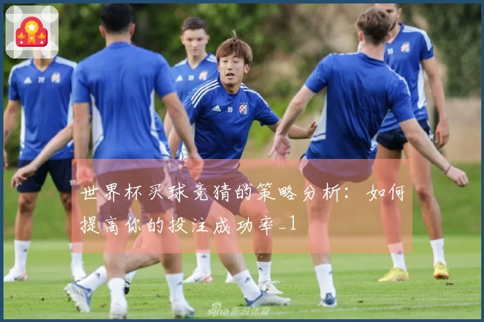 世界杯买球竞猜的策略分析：如何提高你的投注成功率_1
