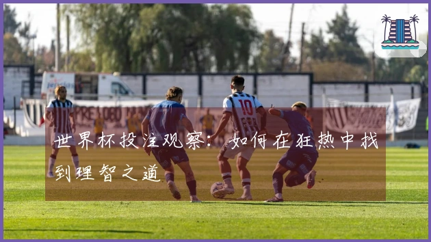世界杯投注观察:如何在狂热中找到理智之道