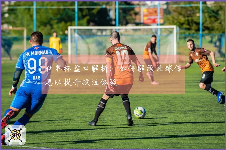 世界杯盘口解析：如何解读让球信息以提升投注体验
