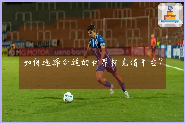 如何选择合适的世界杯竞猜平台？