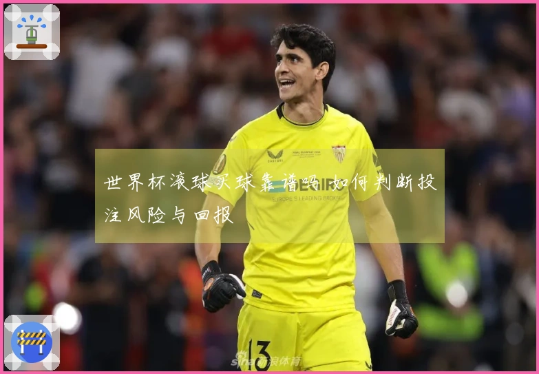 世界杯滚球买球靠谱吗 如何判断投注风险与回报