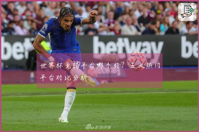 世界杯竞猜平台哪个好？五大热门平台对比分析