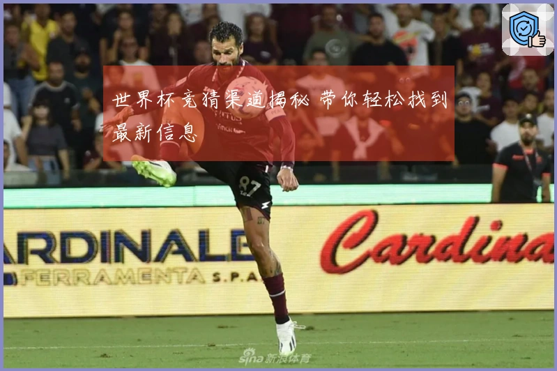 世界杯竞猜渠道揭秘 带你轻松找到最新信息
