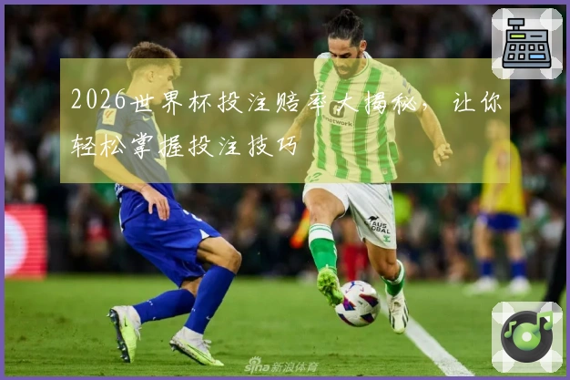 2026世界杯投注赔率大揭秘，让你轻松掌握投注技巧