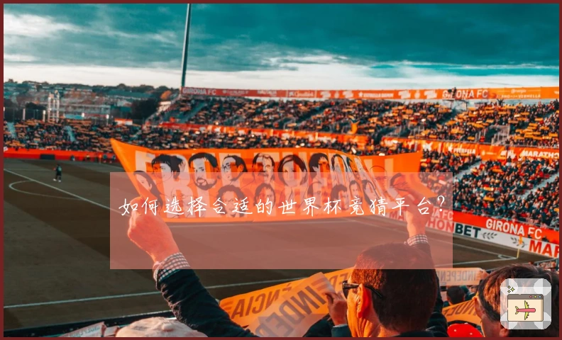 如何选择合适的世界杯竞猜平台？
