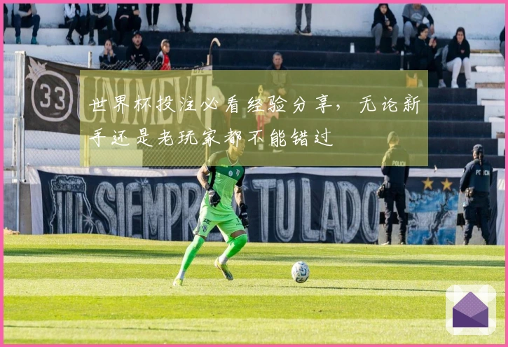 世界杯投注必看经验分享，无论新手还是老玩家都不能错过