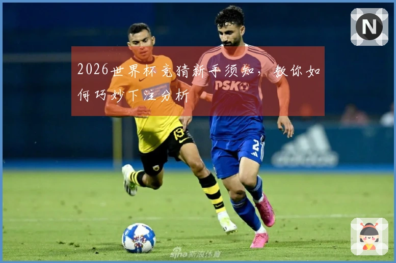 2026世界杯竞猜新手须知，教你如何巧妙下注分析