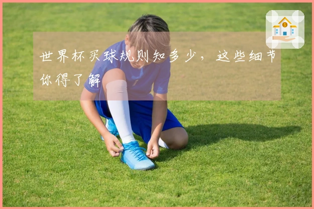世界杯买球规则知多少，这些细节你得了解